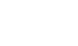 Real Estate Partner
