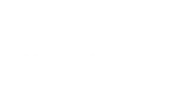 Partner 6
